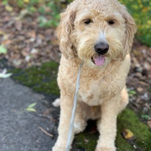 Meet your Posher, Nicki